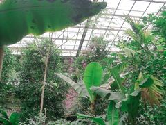 -呀路古热带植物园
