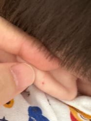 -Mengbaby·萌宝贝儿童理发(保利广场店)