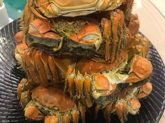 -王宝和酒家(黄浦店)