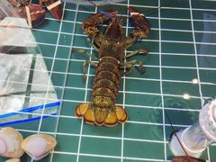 -巧克力渔家.小船海鲜家常菜(三浴场店)