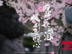 -CGV影城(新牌坊4DX店)