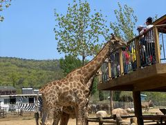 -大连森林动物园