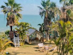 -巨鹏飞梦幻海岸