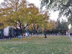 -北京邮电大学