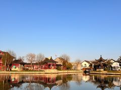-广富林郊野公园