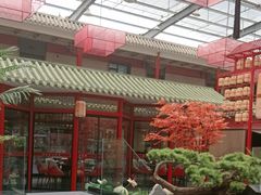 -老山东·山东菜(鲁菜名店)