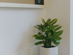 -Line来恩咖啡(石厦花园店)