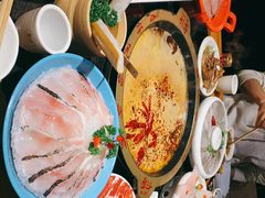 -一斗火锅·招财羊毛肚(泰吉滨江店)