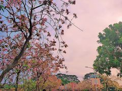 -松山湖风景区松湖烟雨