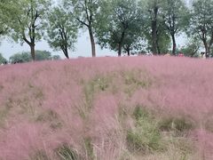 -汉长安城未央宫国家考古遗址公园