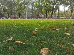 -四川大学(望江校区)