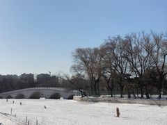 -北陵公园