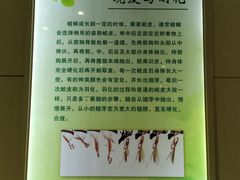 -上海昆虫博物馆