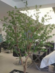 -付军剪艺JF ProSalon