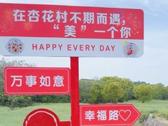 -杏花村文化旅游区