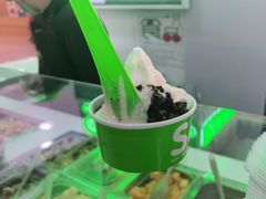 -Salud撒露欧洲冻酸奶(五道口购物中心店)