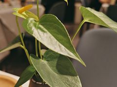 -眉州东坡(清河万象汇店)