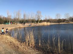 -永定河休闲森林公园