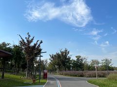 -上海滨江森林公园