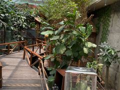 -上海大自然野生昆虫馆(东方明珠·爬宠昆虫探索中心)