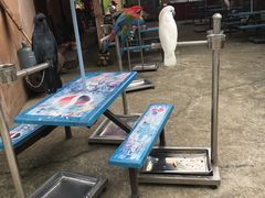 -观澜山水田园
