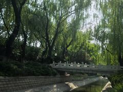 -菖蒲河公园