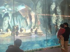 -帝企鹅自助餐厅•儿童岛•真企鹅(长隆企鹅酒店)