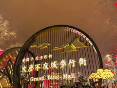 -大唐不夜城