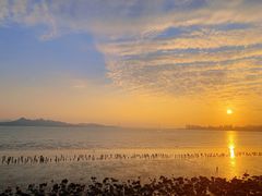 -深圳湾公园(南山区)