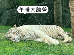 -北京野生动物园