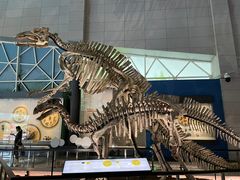 -湖南省地质博物馆