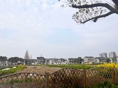 -动邦皮划艇·桨板·独木舟·团建户外运动俱乐部