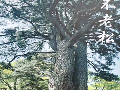 -终南山南五台景区