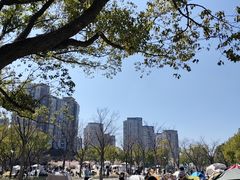 -新江湾城公园