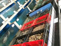 -四季大酒楼(白濠店)