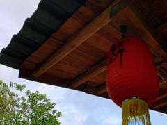 -天门沟九州驿站树上汤泉