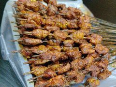 -尕胡才炕锅烤羊肉馆(八一路店)
