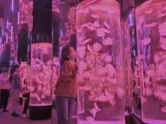 -成都浩海立方海洋公园