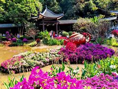 -广州市白云山风景名胜区