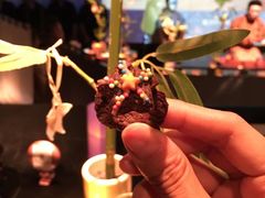 -地球美食剧场