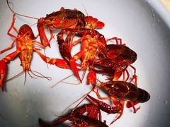 -盒马鲜生(红莲店)
