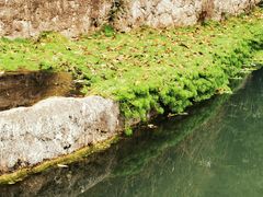 -成都市活水公园