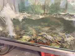 -南基农庄