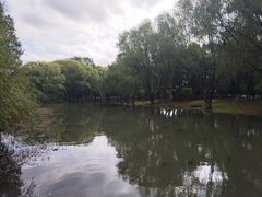 -长广溪湿地公园