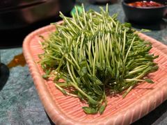 -初春四季·椰子鸡火锅(中关村店)
