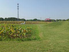 -嘉北郊野公园