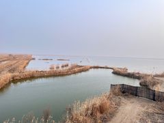 -盐城丹顶鹤湿地生态旅游区