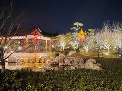 -上海滴水湖皇冠假日酒店