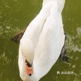 淄博市内休闲好去处，淄博市人民公园