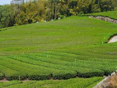 -优游吧斯邹族文化部落